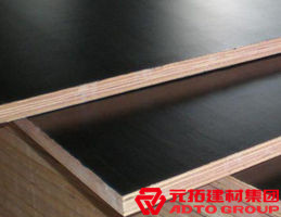 木模板的材料有哪些？各自有什么特點(diǎn)？